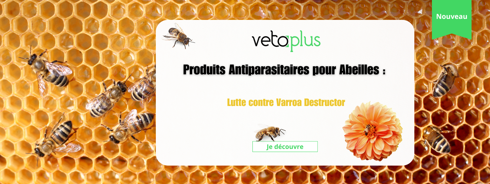 Slider boutique abeilles